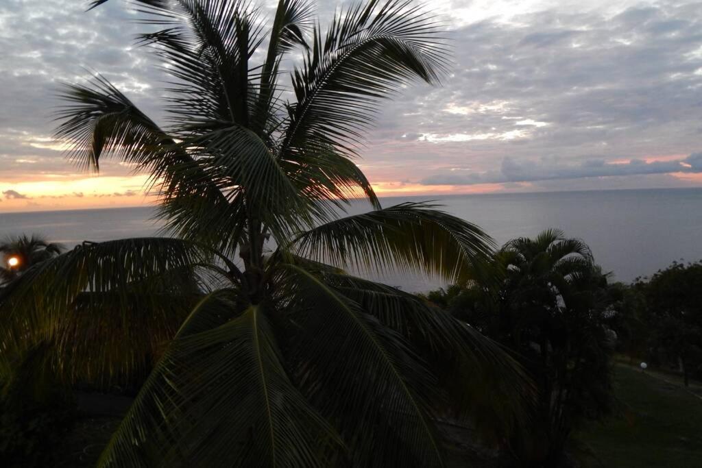 Le Morne Charlotte Villa Le Carbet Exterior photo